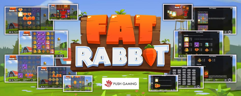Fat Rabbit